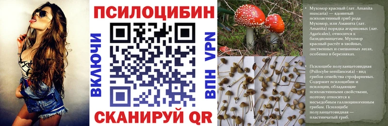 Псилоцибиновые грибы Magic Shrooms  Кашин 